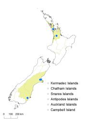 Athyrium filix-femina distribution map based on databased records at AK, CHR & WELT.
 Image: K.Boardman © Landcare Research 2018 CC BY 4.0